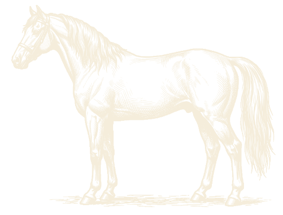 Caballo Peaky